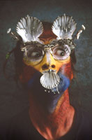 Coast Is Clear: Eyeglasses for Divination of the Future 